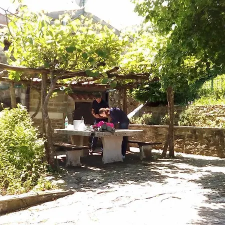 Гостевой дом Histria Botanica Farm Dekani