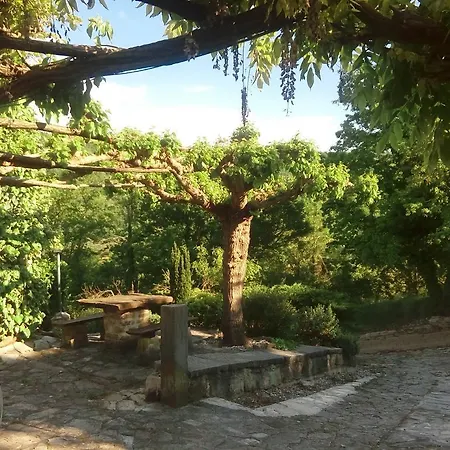 Histria Botanica Farm *